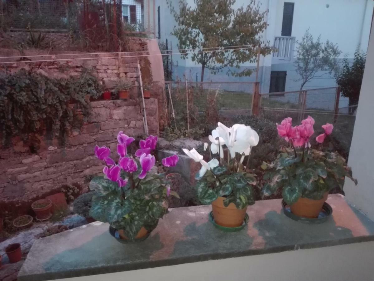 Il Borgo Antico Lägenhet La Spezia Exteriör bild